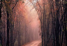 华体会体育赛事直播-欧预赛强队决战一触即发，角逐激烈火爆的简单介绍