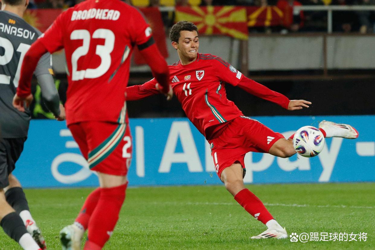 瑞典主场逼平北马其顿，积分榜上升