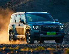 关于猛龙绝地逆转埃尔金，东部领先优势更加明显的信息